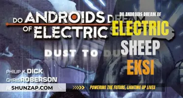 Electric Sheep Dreams: Androids and the Eksi Connection