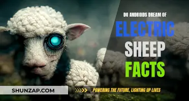 Electric Sheep Facts: Androids, Dreams, and More