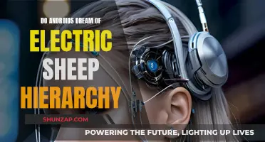 Electric Sheep Hierarchy: Androids, Dreams, and the Meaning of Consciousness