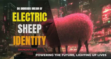 Exploring Identity in Androids: Dreams, Electric Sheep, and Beyond