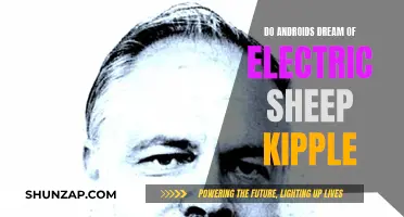 The Kipple Conundrum: Androids, Dreams, and Electric Sheep