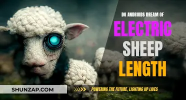 Electric Sheep: Androids, Dreams, and Lengthy Tales