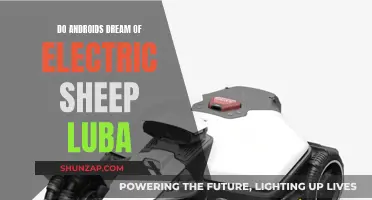 Exploring Luba's Dreams in Androids and Electric Sheep