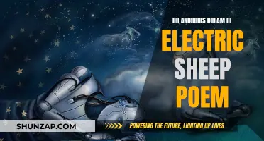 Electric Sheep Dreams: Androids and Poetry