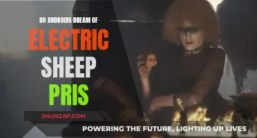 Electric Sheep and Pris: Androids Dreaming of What?