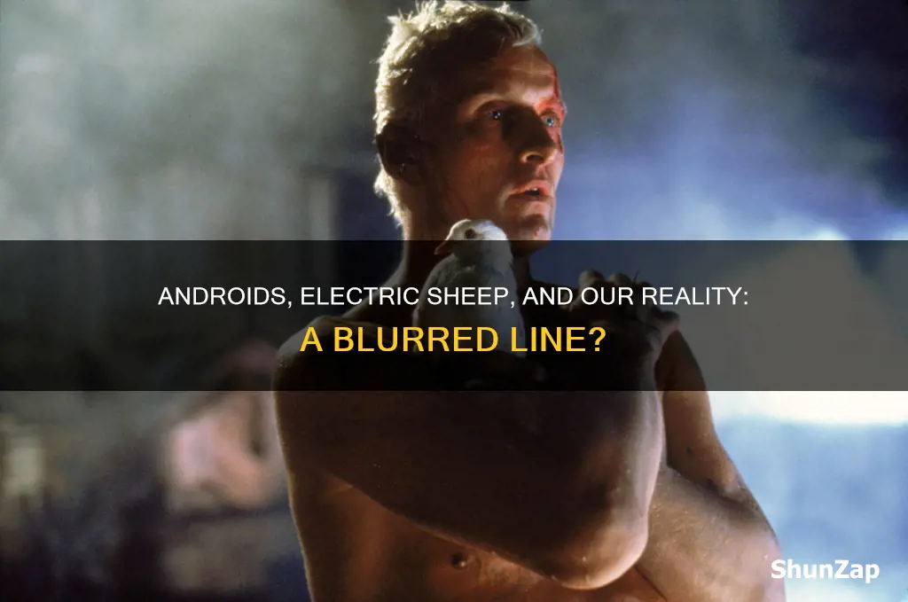 do androids dream of electric sheep reality