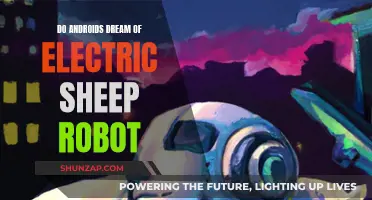 Electric Sheep and Android Dreams: A Robotic Future?