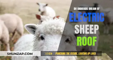Electric Sheep and Android Dreams: Exploring the Roof