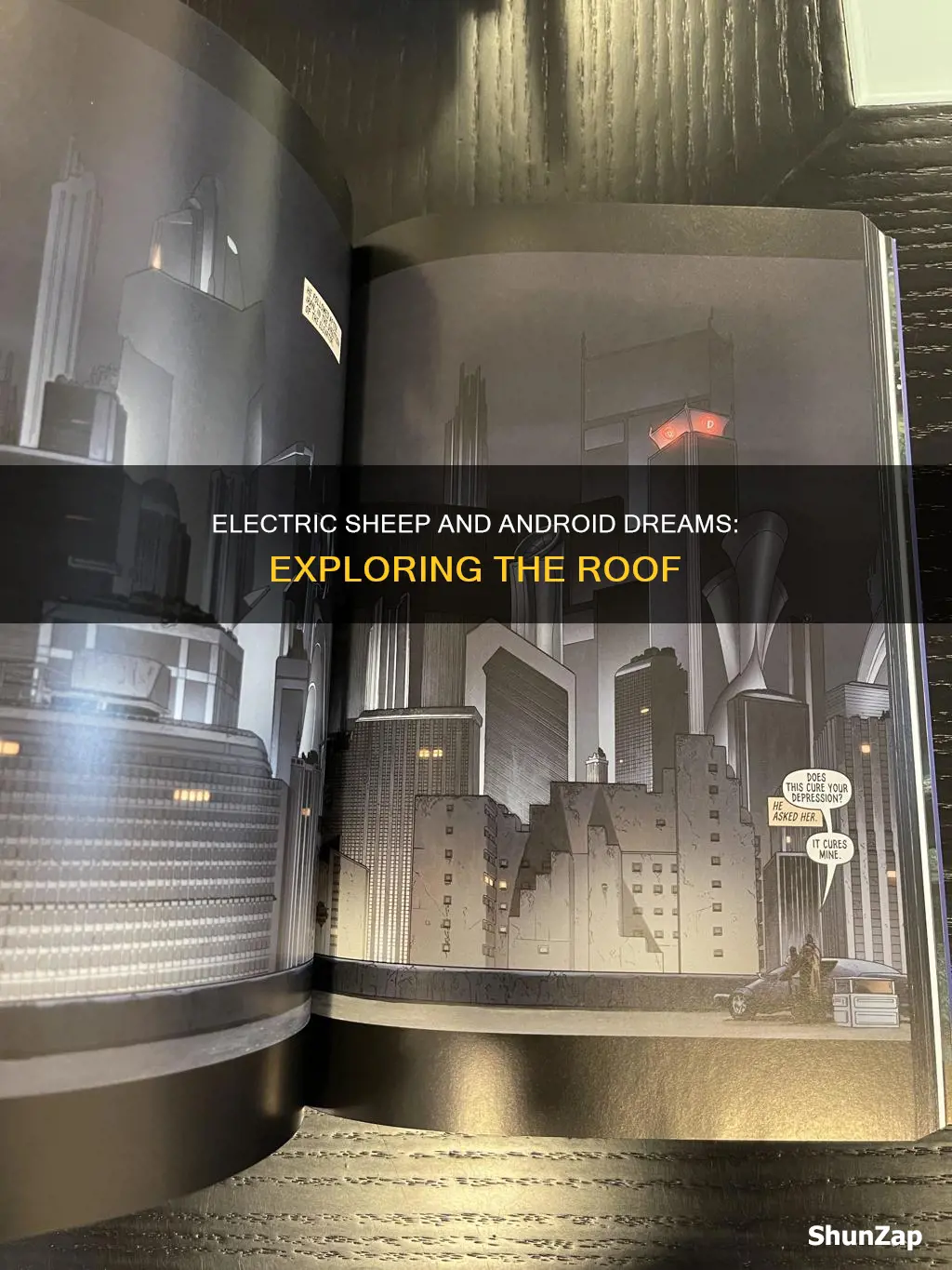 do androids dream of electric sheep roof