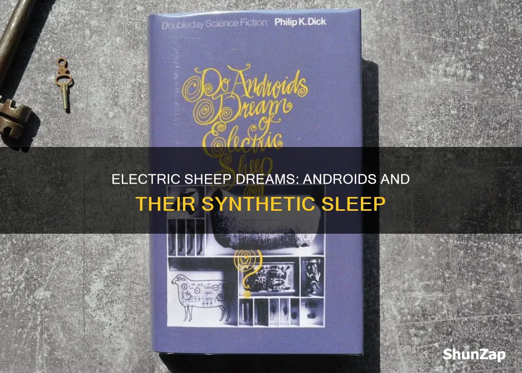 do androids dream of electric sheep sample