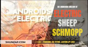 Electric Sheep and Android Dreams: Schmopp's Vision