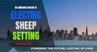 The Bleak World of Androids and Electric Sheep