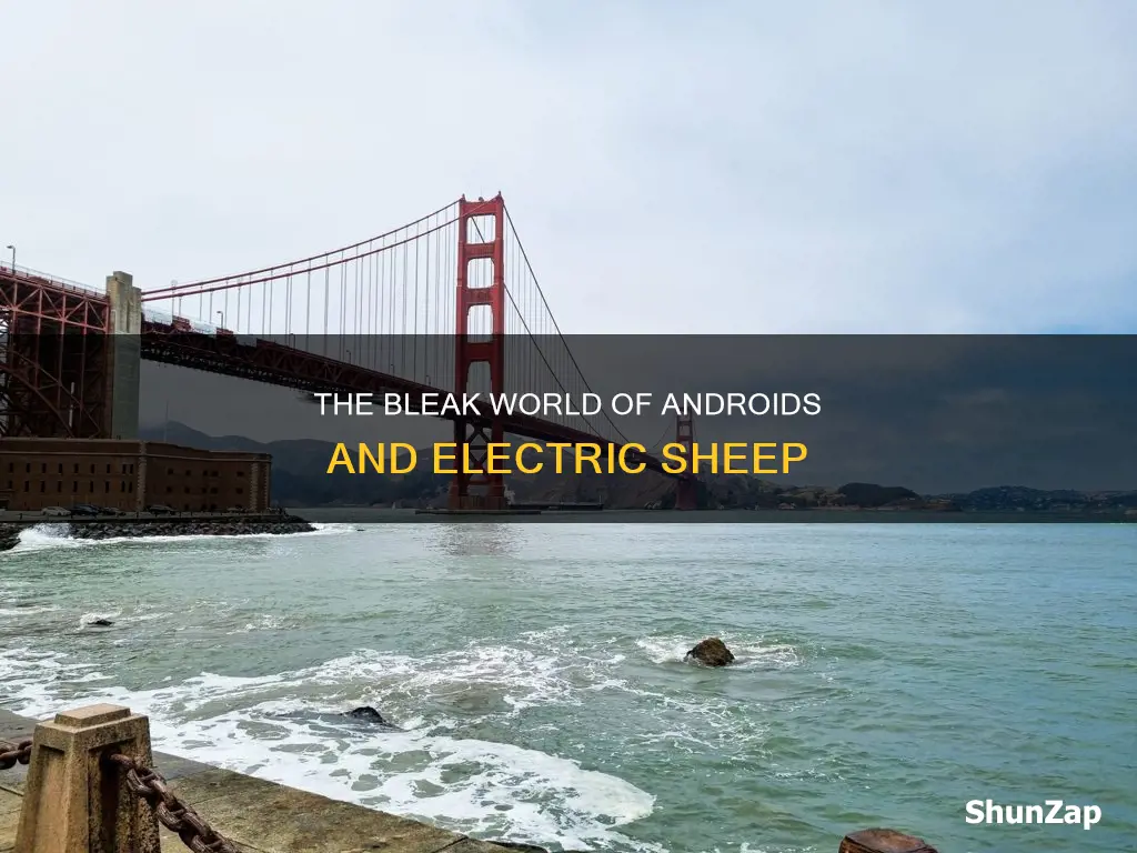 do androids dream of electric sheep setting