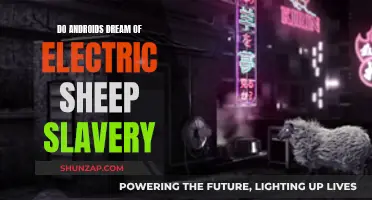 Electric Sheep and Android Dreams: Exploring Slavery's Complexities
