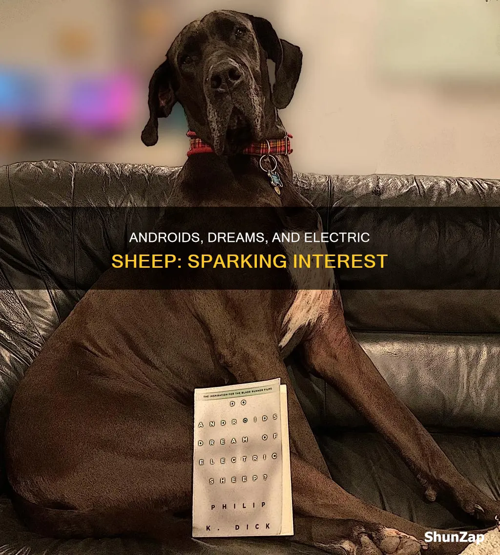 do androids dream of electric sheep sparknote