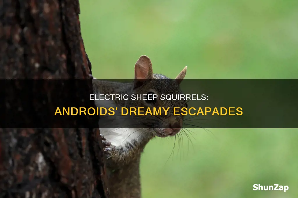 do androids dream of electric sheep squirrel