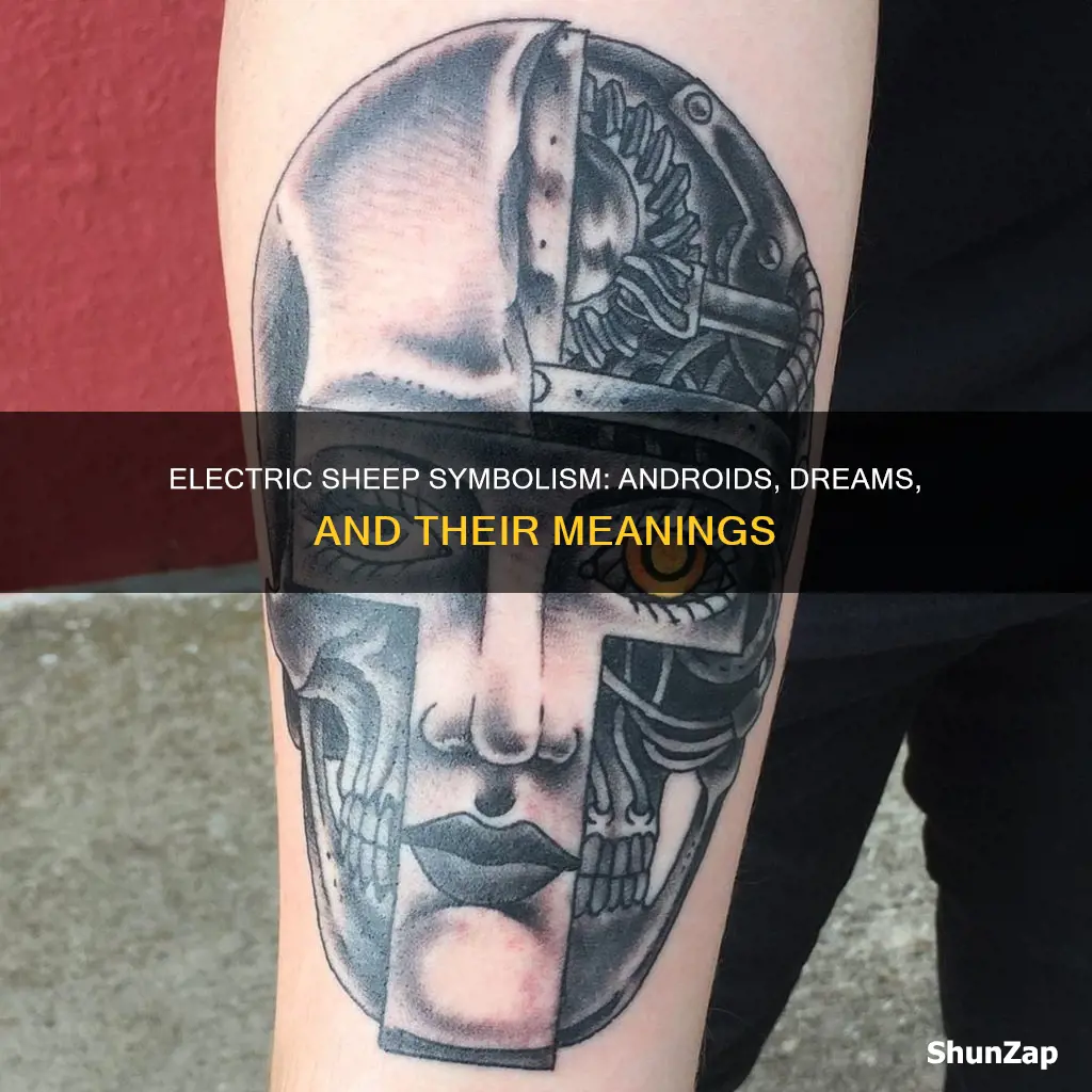 do androids dream of electric sheep symbolism