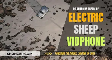 Electric Sheep and Androids: The Vidphone Dream
