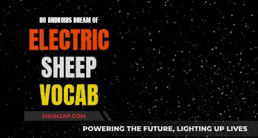 Vocabulary Dreams: Electric Sheep and Android Vocabulary Explored