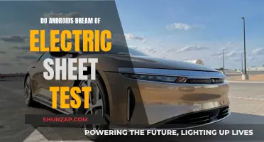 Electric Sheet Tests: Android Dreams and Their Meanings