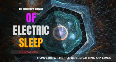 Android Dreams: Electric Sleep and AI Consciousness