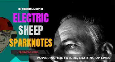Androids, Electric Sheep, and Dreams: Unraveling the Sparknotes Mystery