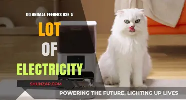 Do Animal Feeders Consume High Electricity? Energy Usage Explained