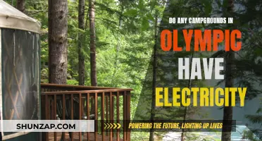Camping with Electricity in Olympic: Which Campgrounds Offer This?