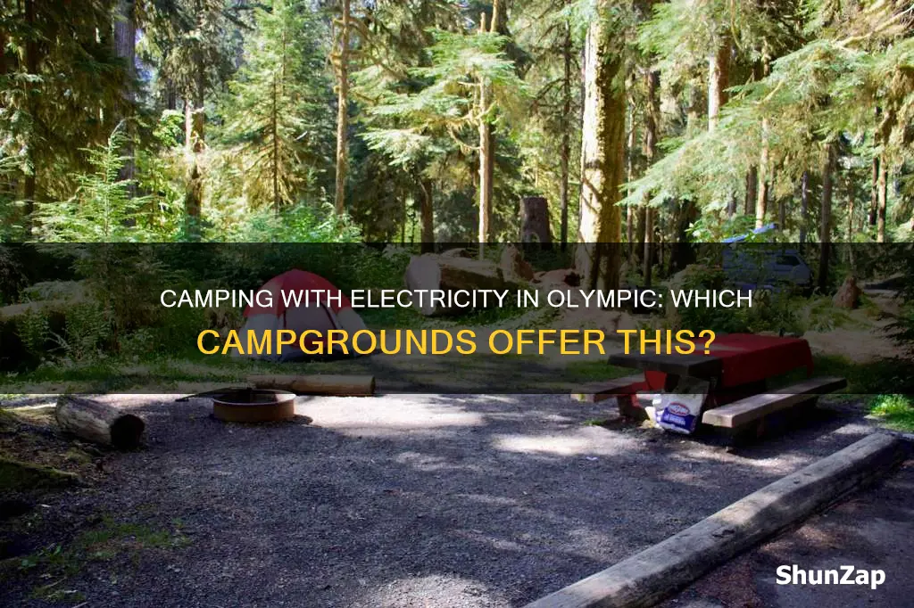 do any campgrounds in olympic have electricity