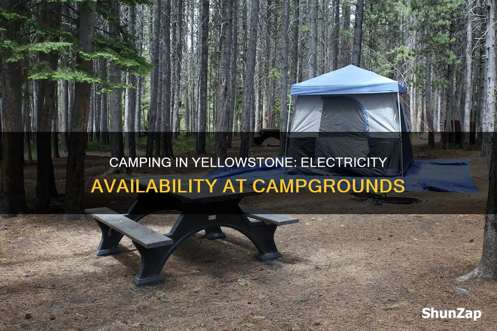 do any campgrounds in yellowstone have electricity