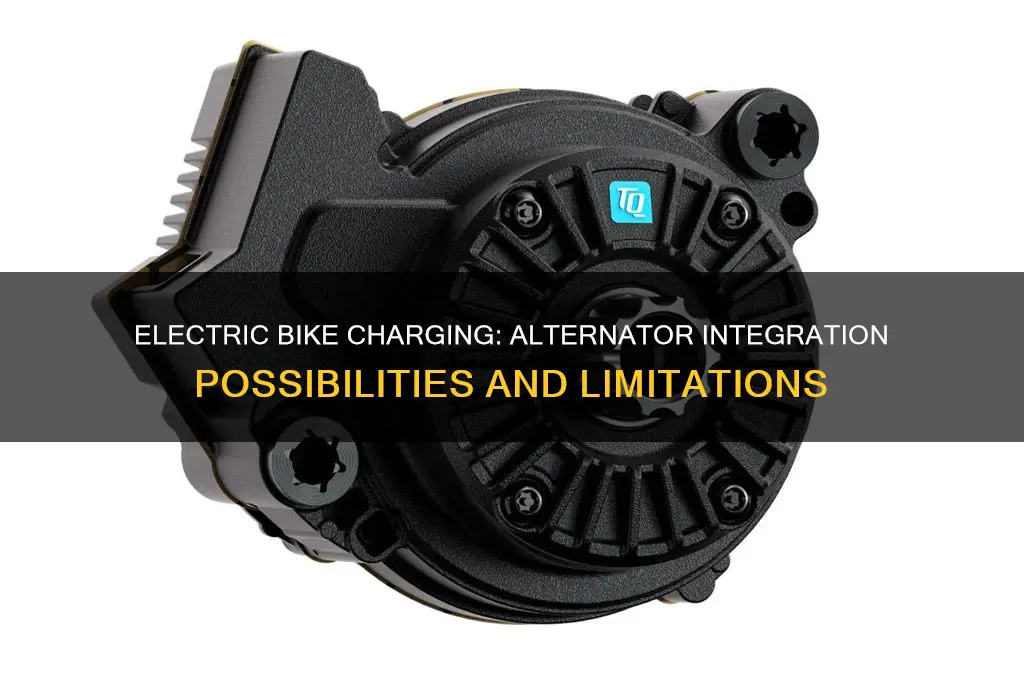 do any electric bikes have alternators