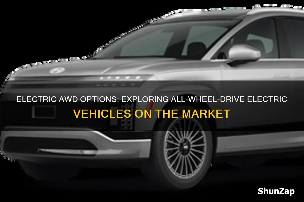 do any electric cars have all wheel drive