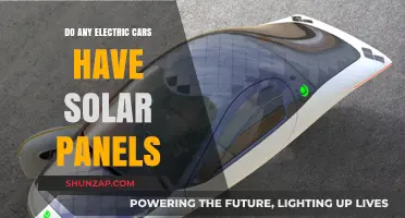 Exploring Solar-Powered Electric Cars: Do Any Models Feature Integrated Panels?