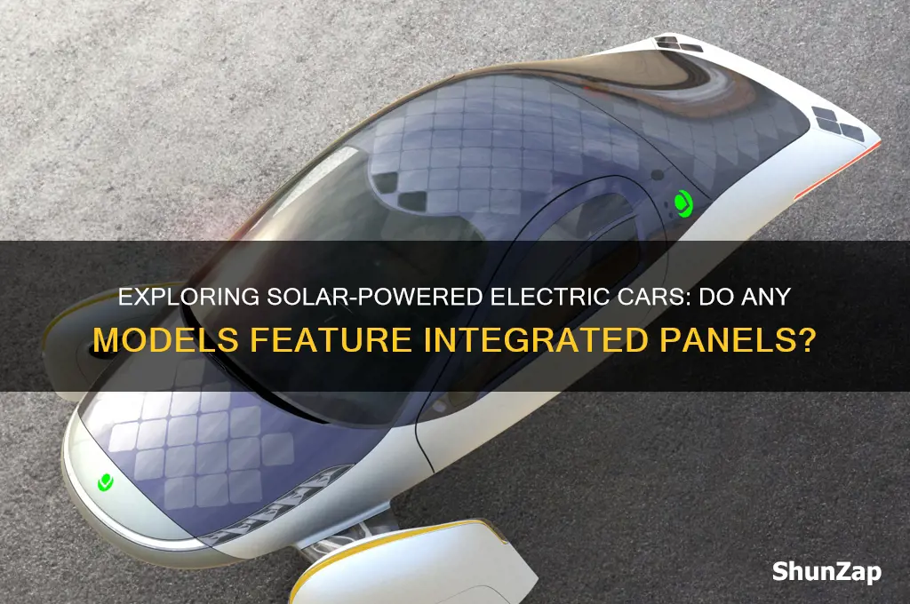 do any electric cars have solar panels