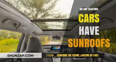Electric Cars with Sunroofs: Models and Features to Consider