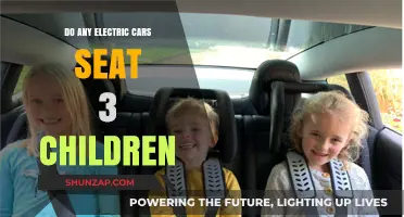 Electric Cars with Three-Child Seating: Exploring Family-Friendly EV Options