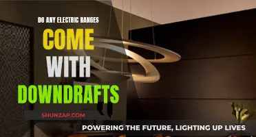 Electric Ranges with Downdrafts: Are There Any Options?