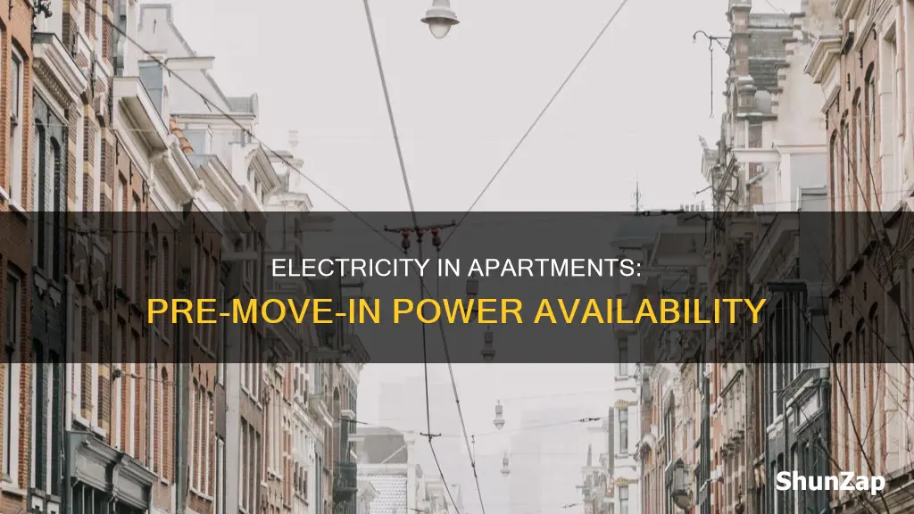 do apartments have electricity before move in