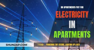 Electricity Costs in Apartments: Who Pays for What?