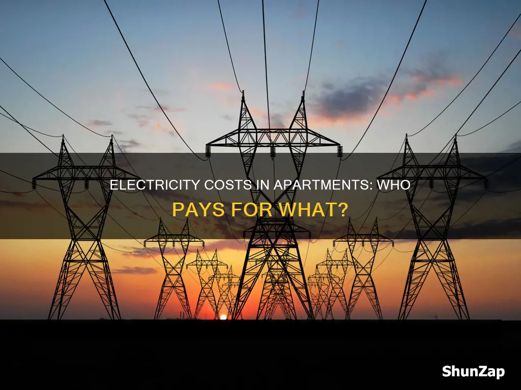 do apartments pay for electricity in apartments