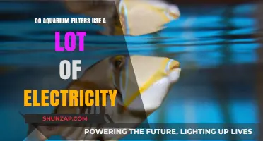 Aquarium Filters and Electricity: How Much Power Do They Consume?