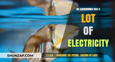 Aquarium Energy Consumption: How Much Electricity Do Tanks Really Use?