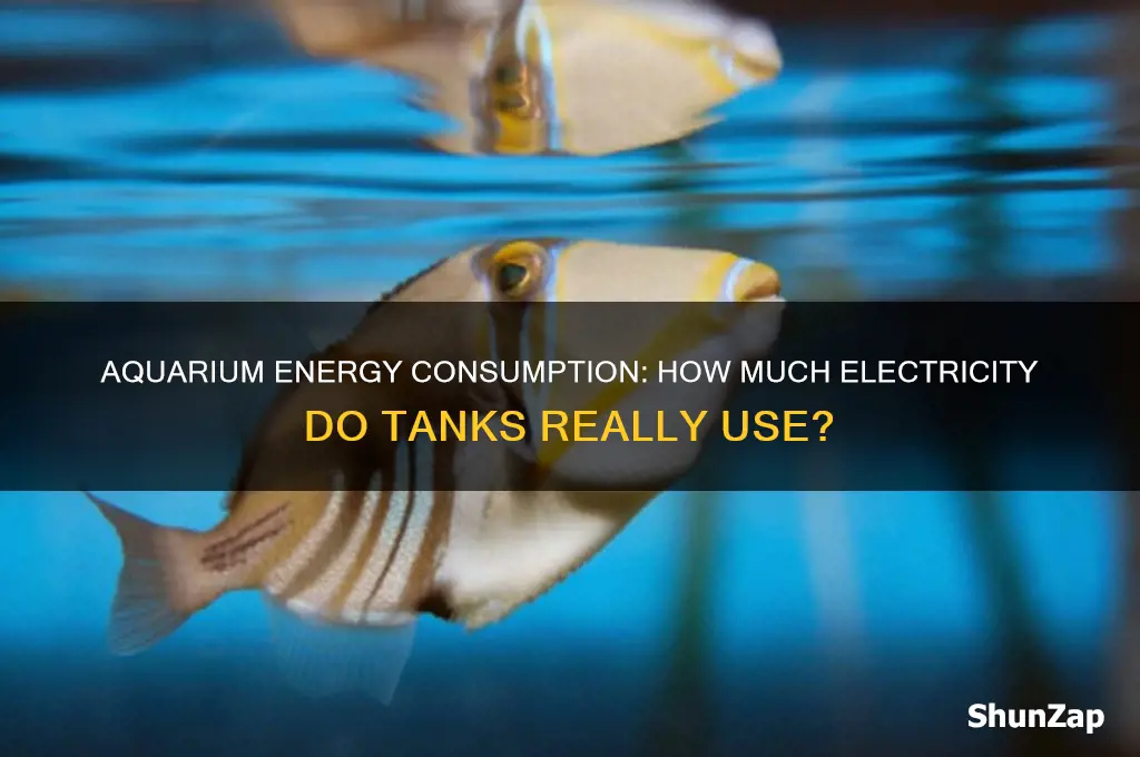 do aquariums use a lot of electricity