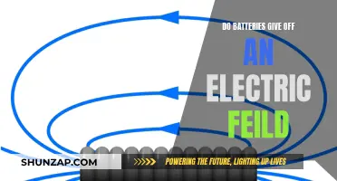 Electric Fields and Batteries: What's the Connection?