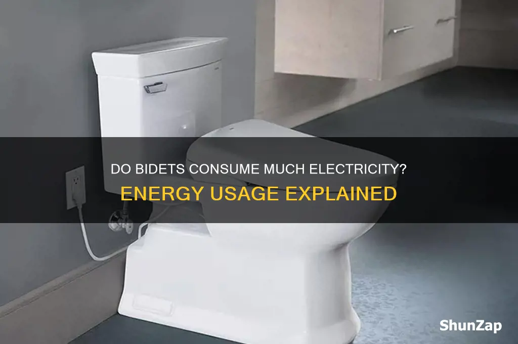 do bidets use a lot of electricity