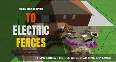 Big Dog, Small Fence: Do Electric Fences Work?