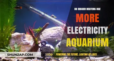 Bigger Aquarium Heaters: Higher Electricity Usage or Efficient Heating?