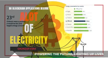The Energy Cost of Blockchain Applications