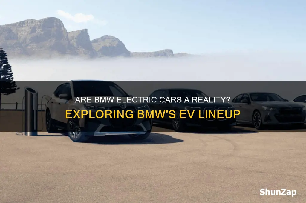 do bmw have electric cars