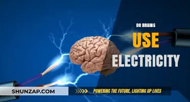 Do Brains Use Electricity? Unveiling the Science Behind Neural Signals